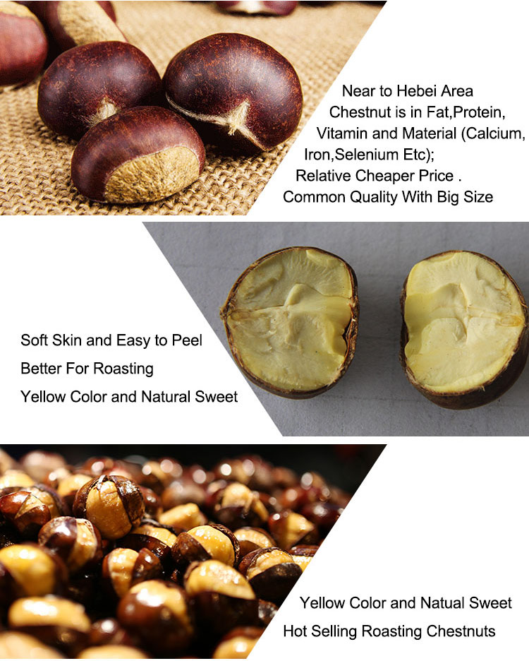 chestnutsfeatures