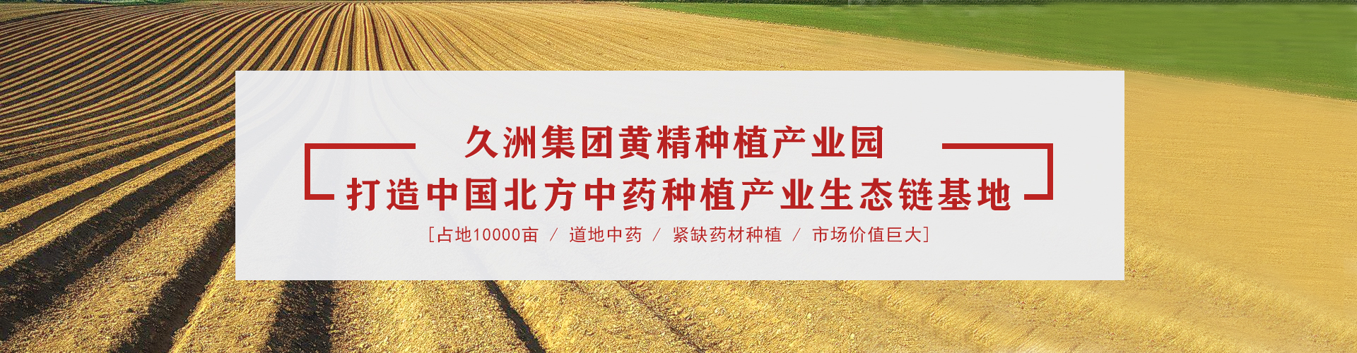 黃精產業園橫幅網站海報