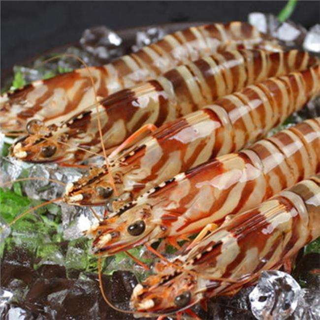 3.Fish-Shrimp鱼虾类-14