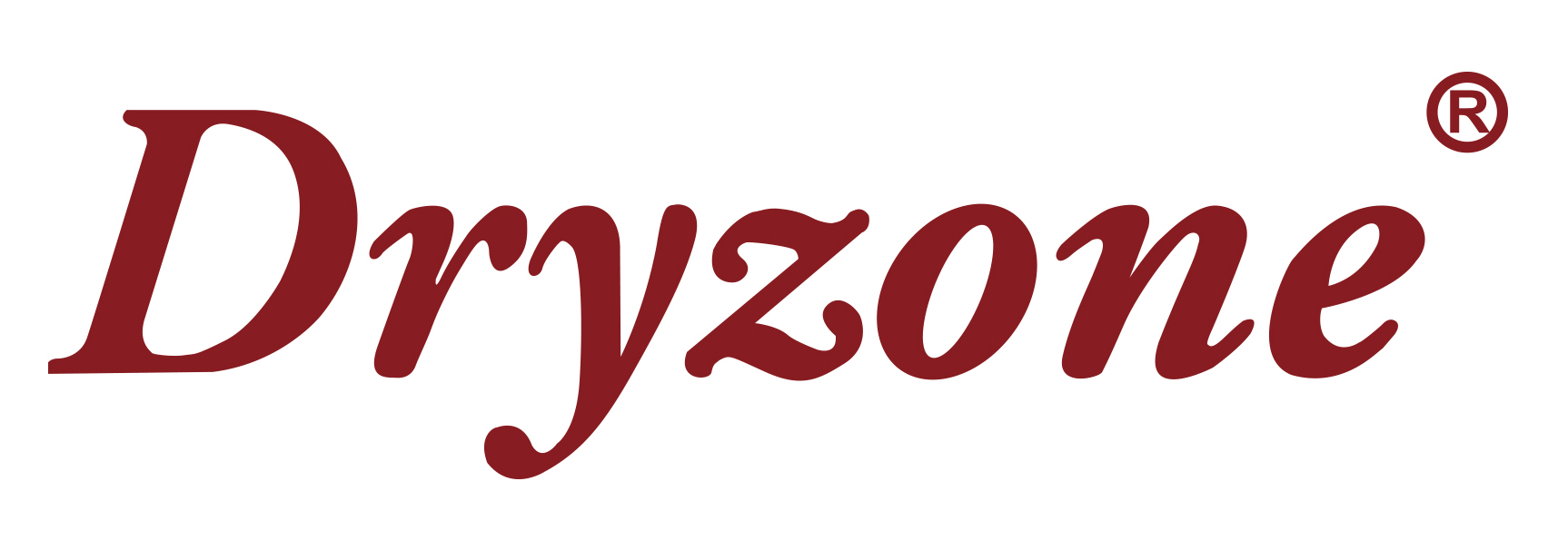 Dryzonelogo-2