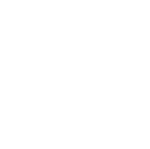 2 SFP 1.25G