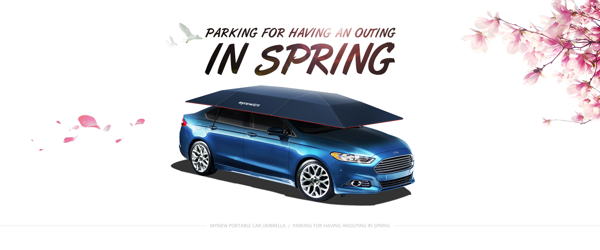 Parking-for-having-an-outing-in-spring