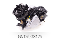 GN125,GS125