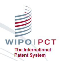 国际专利体系