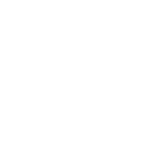 1 SFP 1.25G