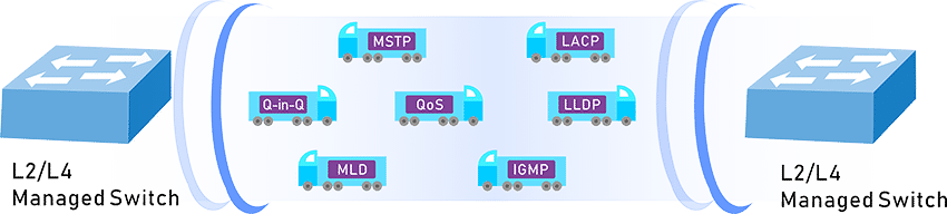 Q-in-Q VLAN, Multiple Spanning Tree Protocol (MSTP), Layer 2/4 QoS